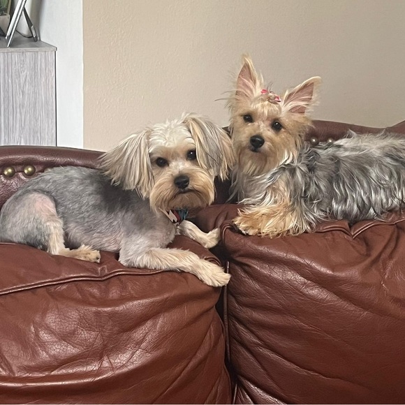 Meet your Posher, yamy - Picture 10 of 10